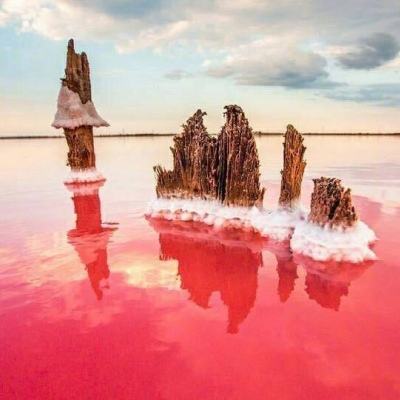 圣域浩劫游戏果盘版下载
