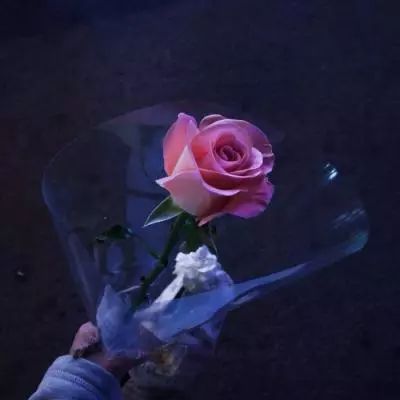 第三轮第四批中央生态环境保护督察全部进驻